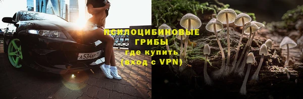 PSILOCYBIN Алзамай