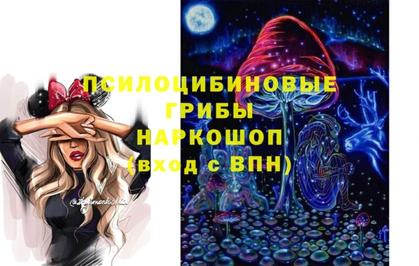 соль ск Алексеевка