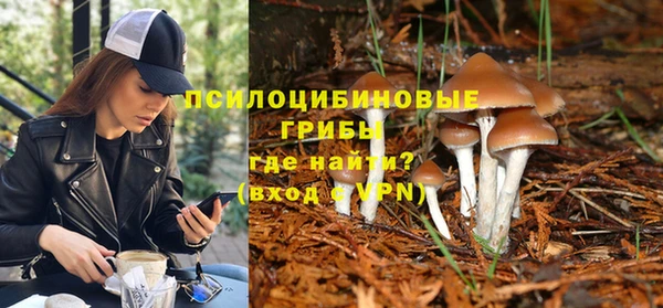 a pvp Алексин