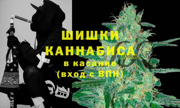 PSILOCYBIN Алзамай