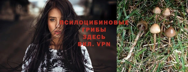 PSILOCYBIN Алзамай
