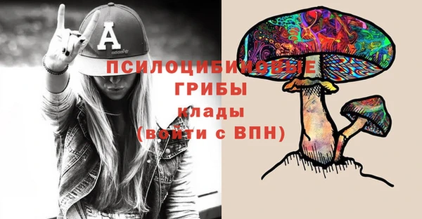 PSILOCYBIN Алзамай
