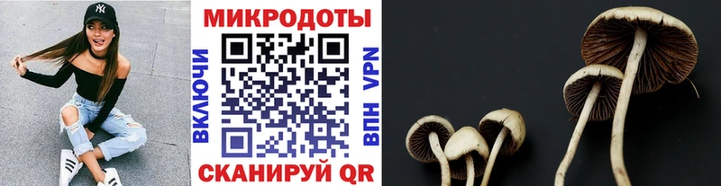 Псилоцибиновые грибы Cubensis  купить закладку  Ардон 